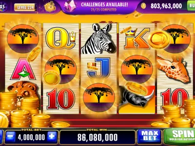 Deposit and Withdrawal Screen