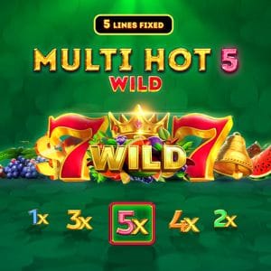 MultiHot5Wild game thumbnail